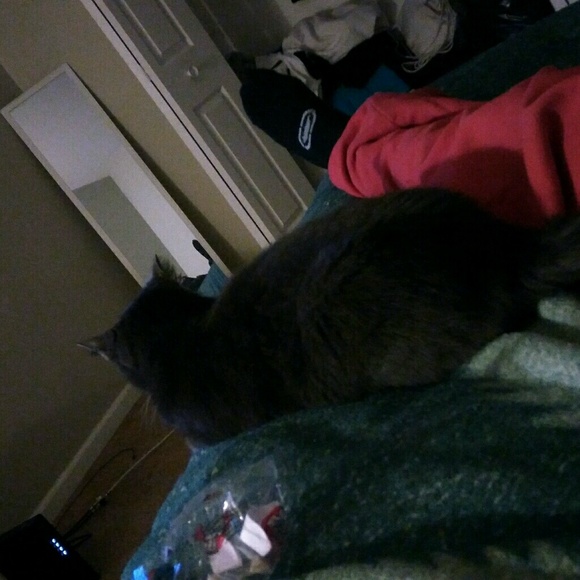 Meet your Posher, Herman - Picture 1 of 1